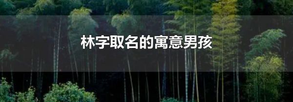 林字取名的寓意男孩