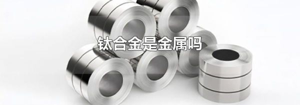 钛合金是金属吗
