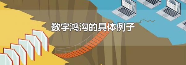 数字鸿沟的具体例子