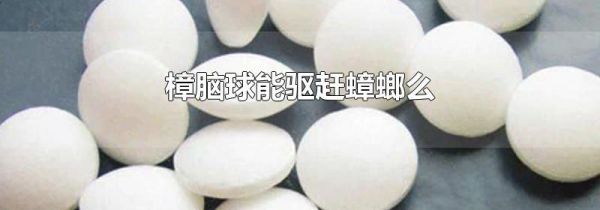 樟脑球能驱赶蟑螂么
