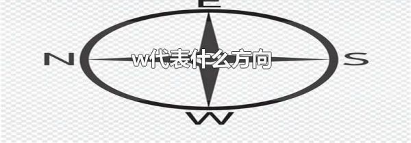 w代表什么方向