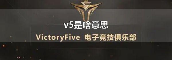 v5是啥意思