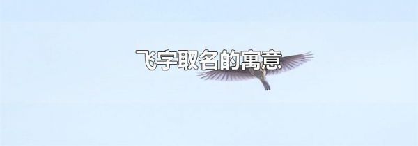 飞字取名的寓意