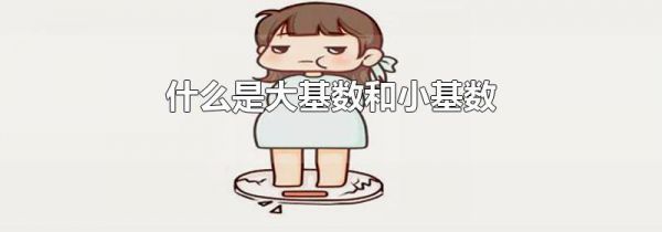 什么是大基数和小基数