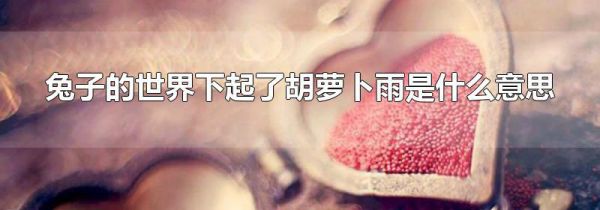 兔子的世界下起了胡萝卜雨是什么意思