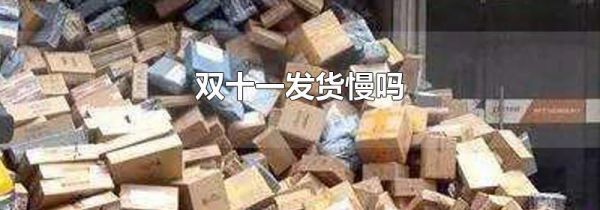 双十一发货慢吗