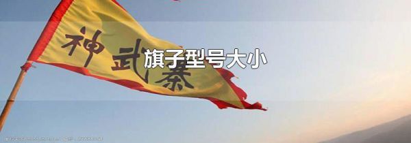 旗子型号大小