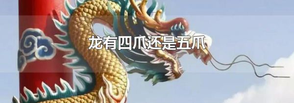龙有四爪还是五爪