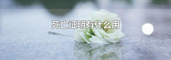 死亡证明有什么用
