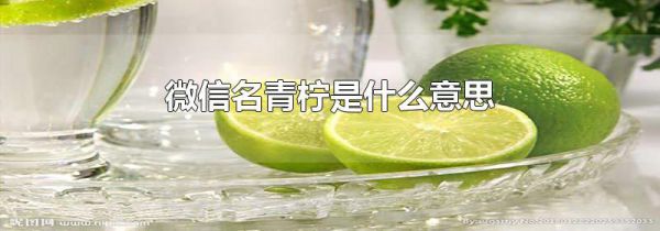 微信名青柠是什么意思