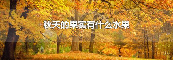 秋天的果实有什么水果