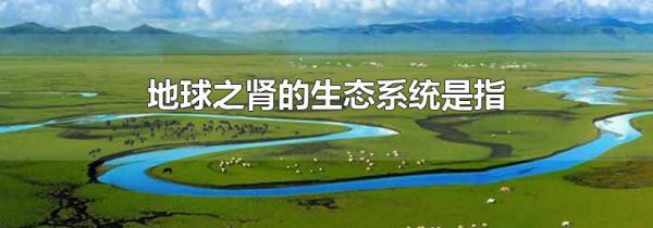地球之肾的生态系统是指