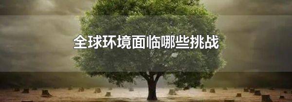 全球环境面临哪些挑战