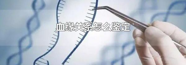 血缘关系怎么鉴定