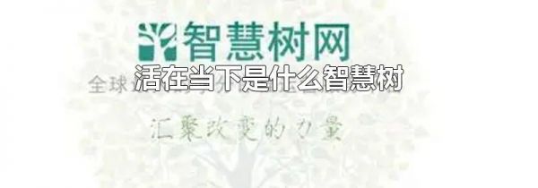 活在当下是什么智慧树