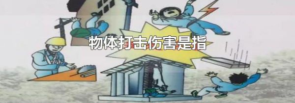 物体打击伤害是指