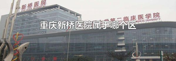 重庆新桥医院属于哪个区