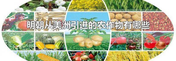 明朝从美洲引进的农作物有哪些