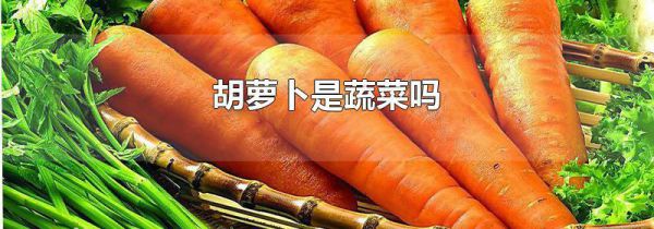 胡萝卜是蔬菜吗