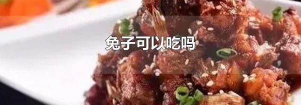兔子可以吃吗