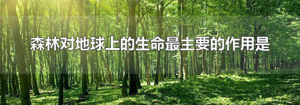 森林对地球上的生命最主要的作用是
