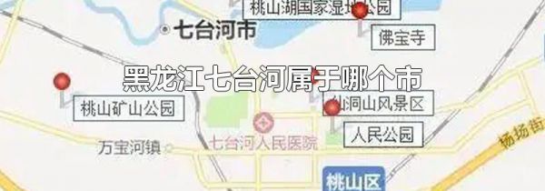 黑龙江七台河属于哪个市
