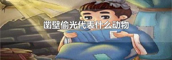 凿壁偷光代表什么动物