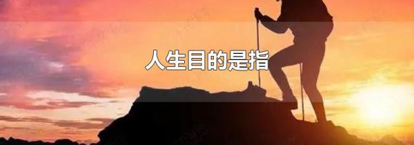 人生目的是指