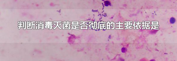 判断消毒灭菌是否彻底的主要依据是