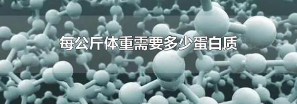 每公斤体重需要多少蛋白质