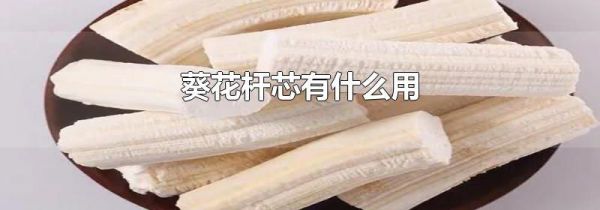 葵花杆芯有什么用