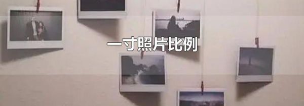 一寸照片比例
