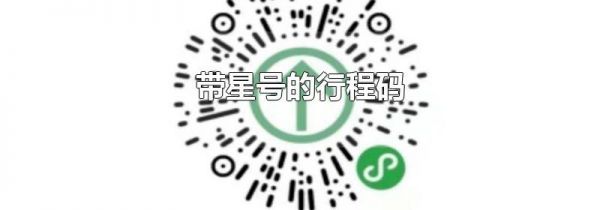 带星号的行程码