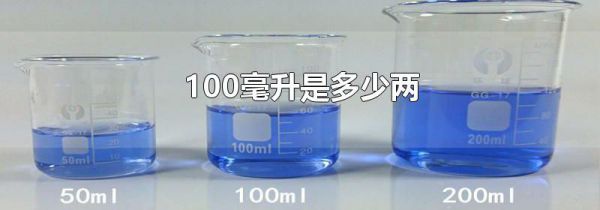 100毫升是多少两