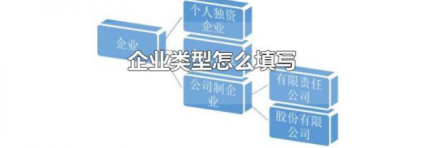 企业类型怎么填写