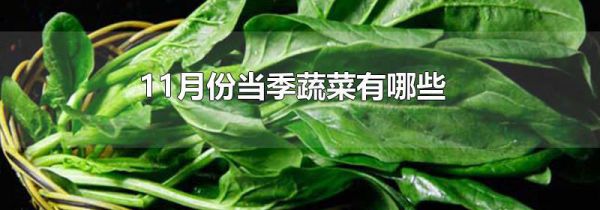11月份当季蔬菜有哪些