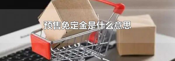 预售免定金是什么意思