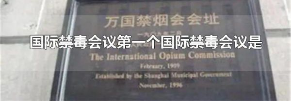 国际禁毒会议第一个国际禁毒会议是