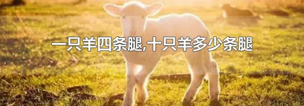 一只羊四条腿,十只羊多少条腿