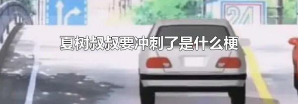 夏树叔叔要冲刺了是什么梗