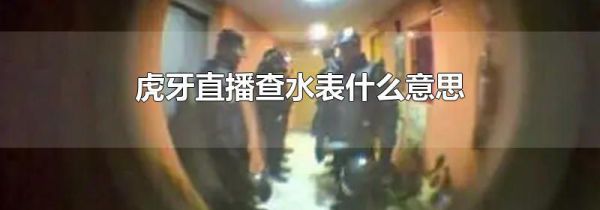 虎牙直播查水表什么意思