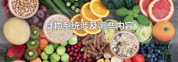 食物系统涉及哪些内容