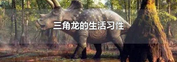 三角龙的生活习性