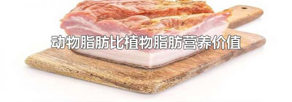 动物脂肪比植物脂肪营养价值高吗