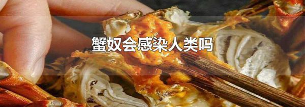 蟹奴会感染人类吗