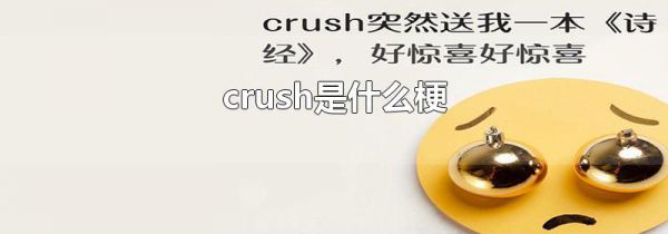 crush是什么梗