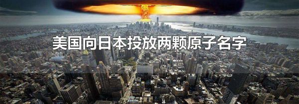 美国向日本投放两颗原子名字
