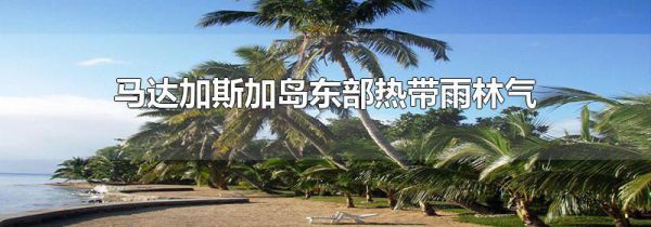 马达加斯加岛东部热带雨林气候的成因