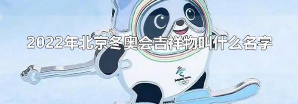2022年北京冬奥会吉祥物叫什么名字