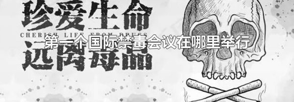 第一个国际禁毒会议在哪里举行